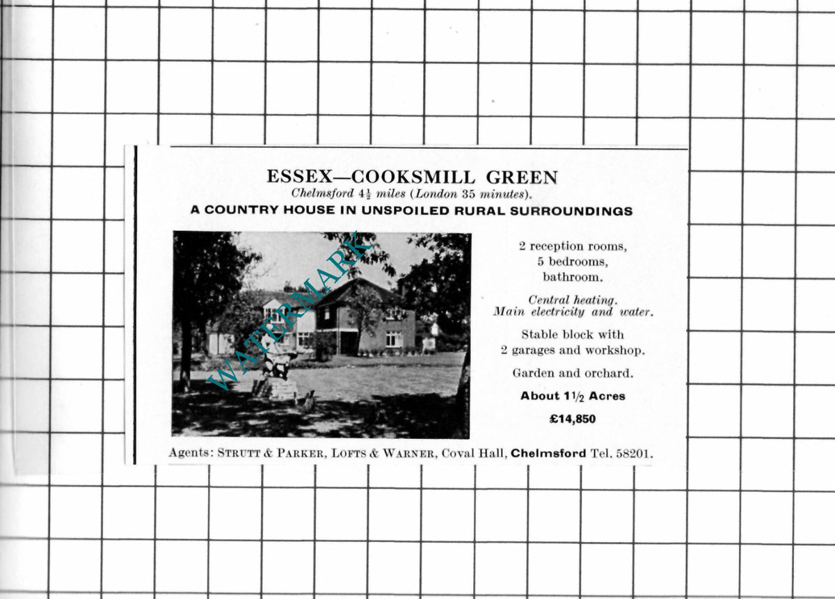 Cooksmill Green Essex Small House Sale Advert - 1967 Clipping