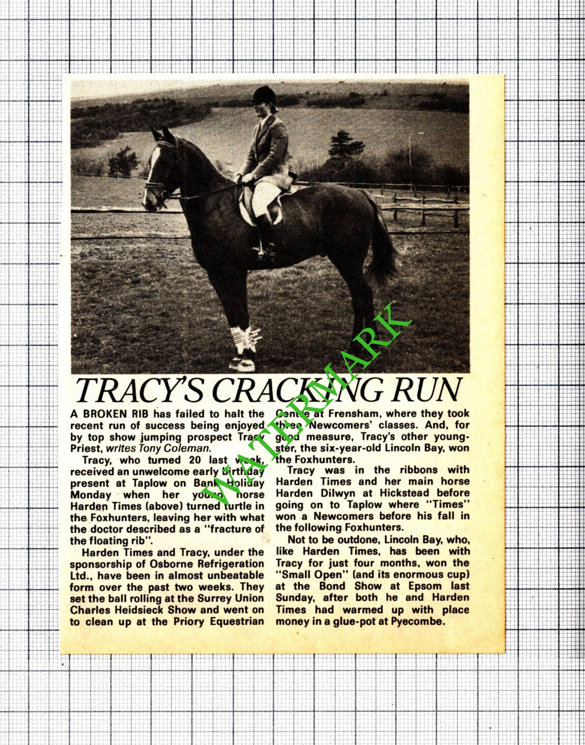 Tracy Priest Show Jumping Horse Harden Times - 1983 Cutting
