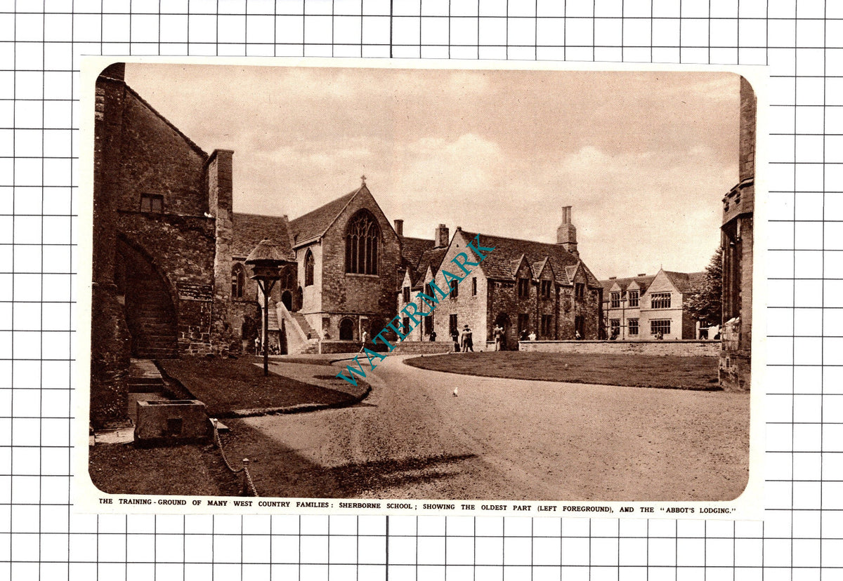 Sherborne School - 1950 Cutting / Print