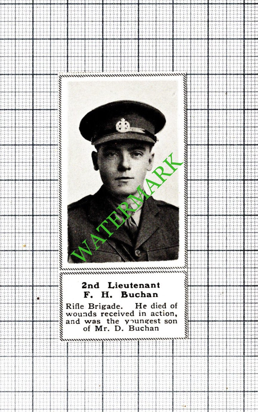 2nd Lt F H Buchan Rifle Brigade Great War WW1 - 1918 SMALL Cutting