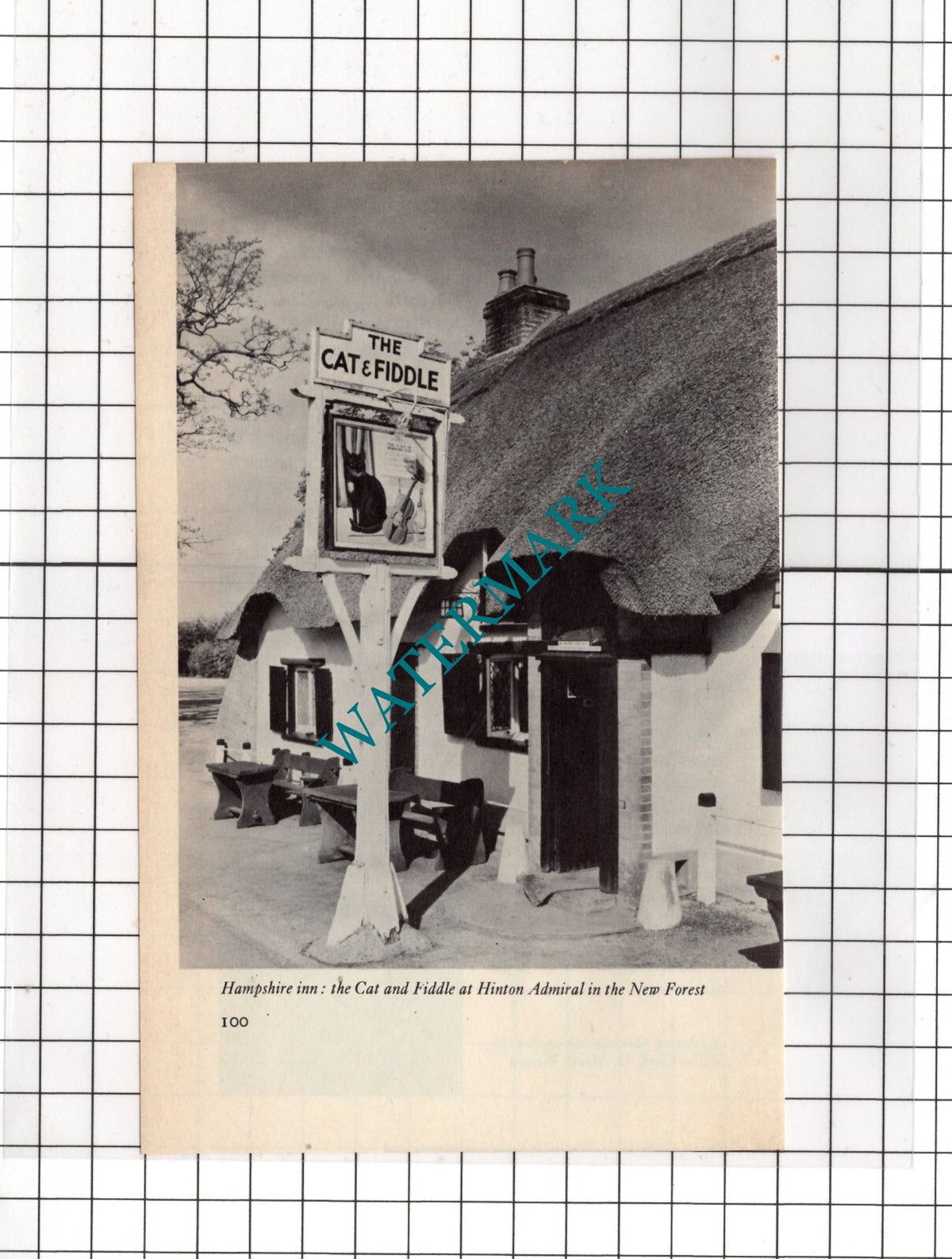 The Cat and Fiddle Hinton Admiral New Forest Hampshire - 1972 Cutting
