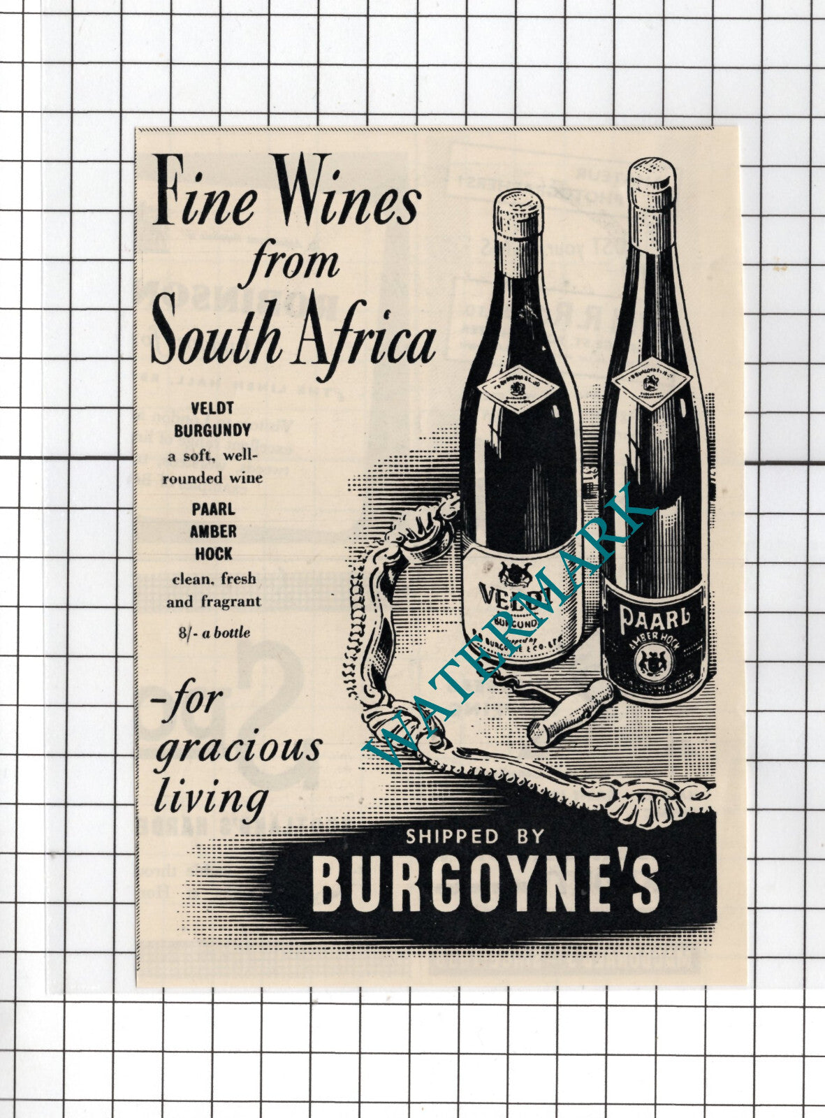 Veldt Burgundy Paarl Amber Hock Wines Burgoyne's Advert - 1950 Small Cutting