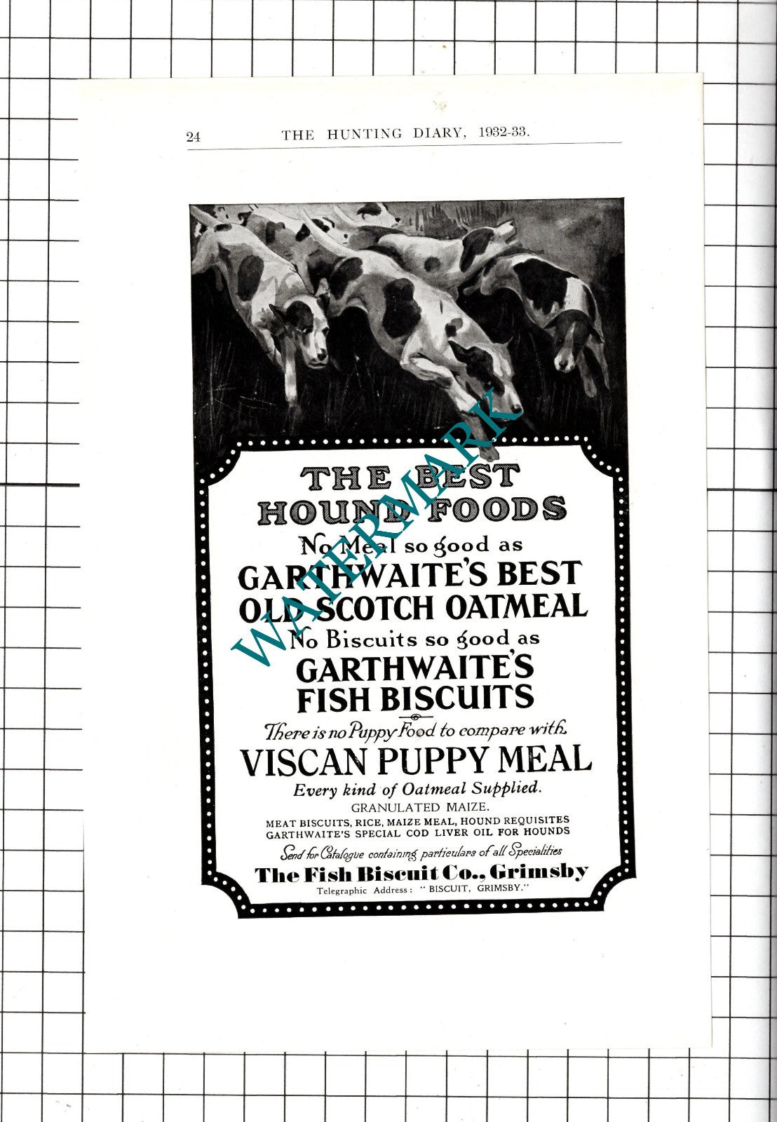 The Fish Biscuit Co Grimsby Yorkshire Viscan - 1932 Advert