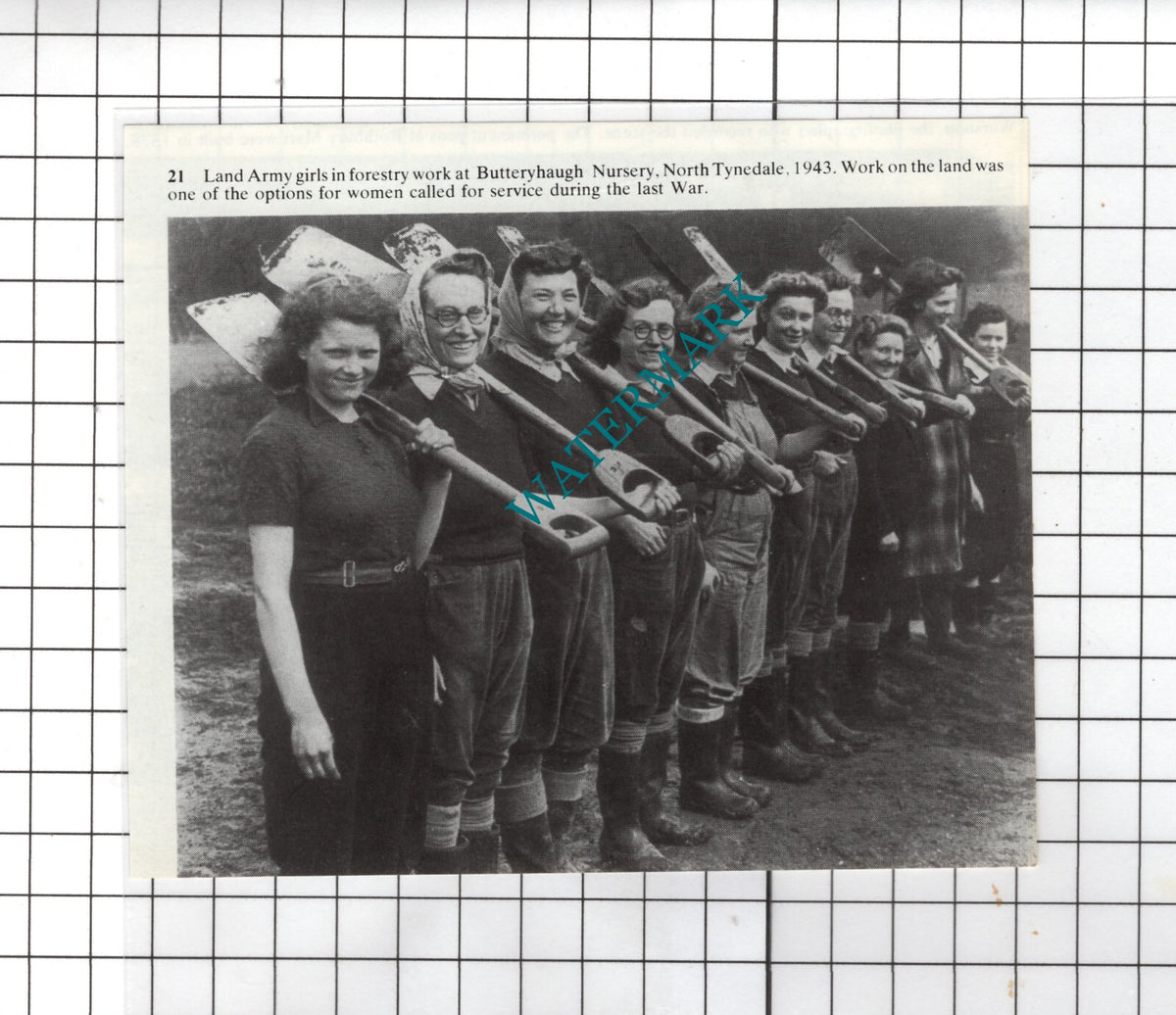 Butteryhaugh Nursery North Tynedale Northumberland Land Girls - Small Cutting