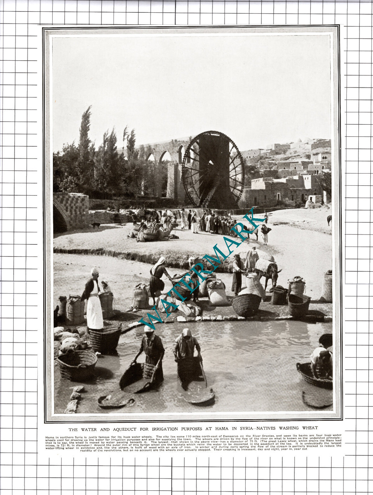 Water Wheel Hama Syria Wheat Washing - 1913 Cutting / Print