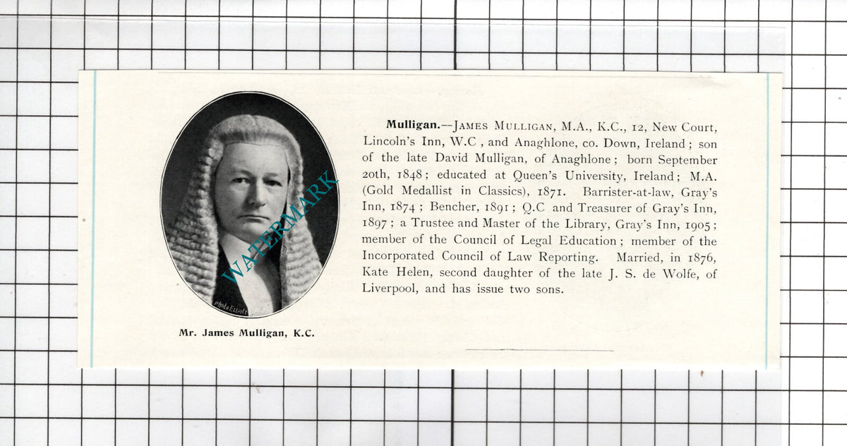Leonard Mossop Long Sutton / James Mulligan Anaghlone Ireland - c.1905 Clipping