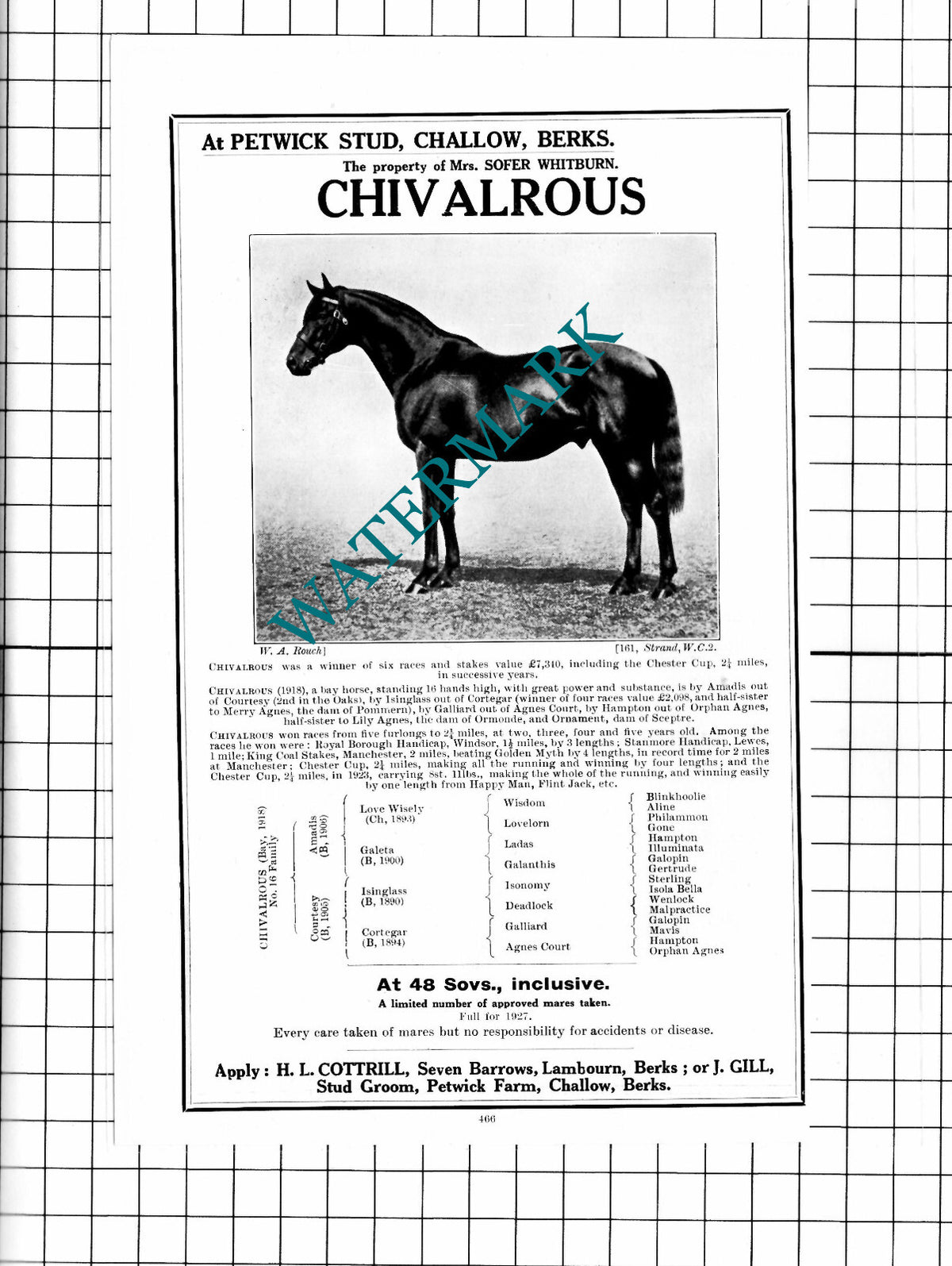 Sofer Whitburn Chivalrous Racehorse Horse Petwick Stud Advert - 1927 Clipping