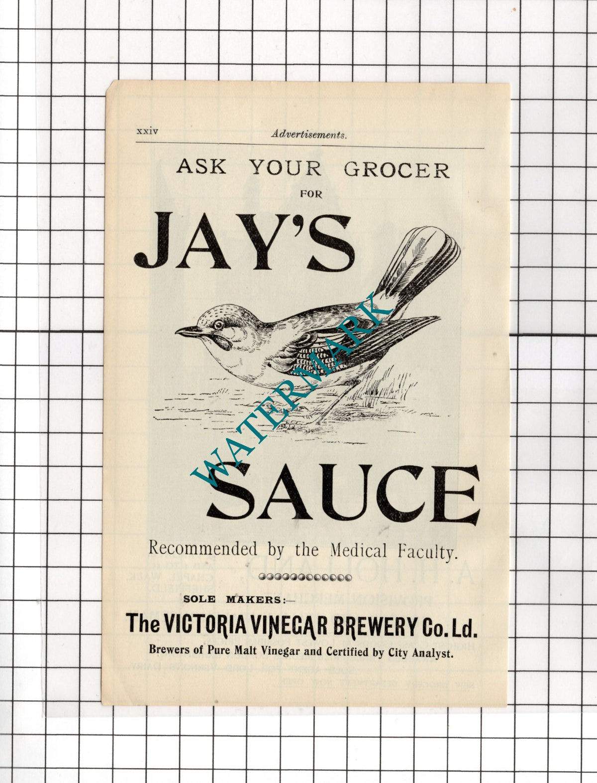 A H Holland Sheffield / Jay's Sauce Victoria Vinegar Brewery c.1910 Small Advert