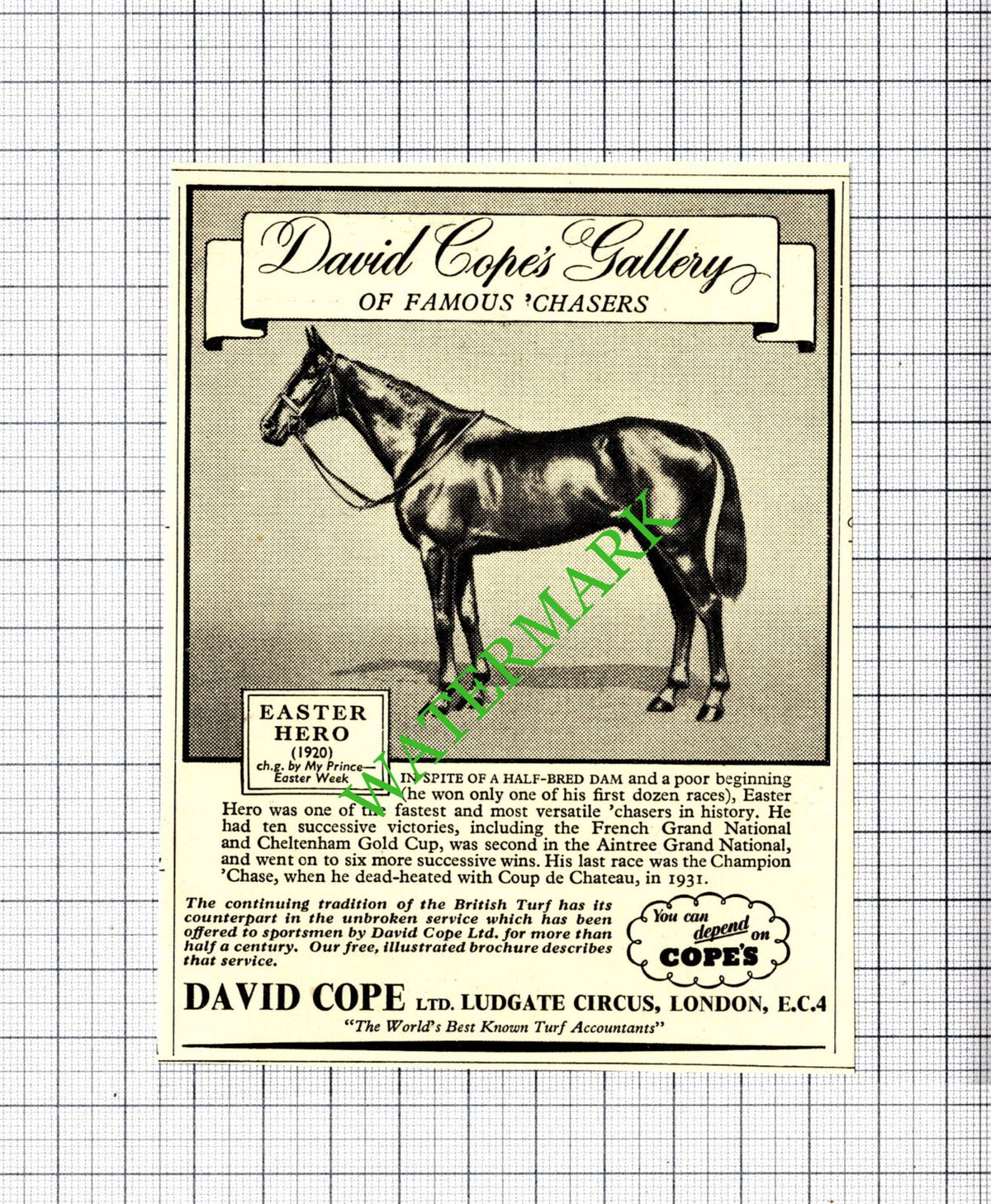 Easter Hero Horse David Cope Small Advert - 1950 Cutting