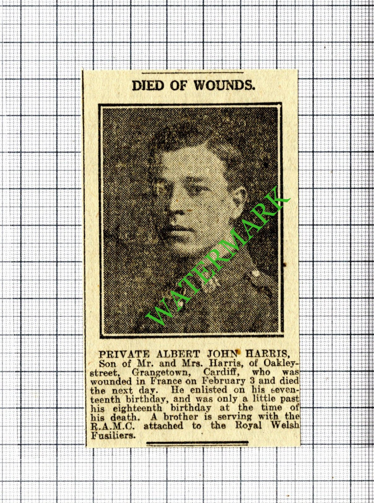 Private Albert John Harris Grangetown Cardiff WW1 - 1916 Small Cutting