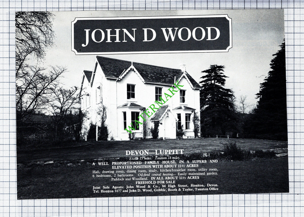 Luppitt Devon House Sale Advert - 1981 Cutting