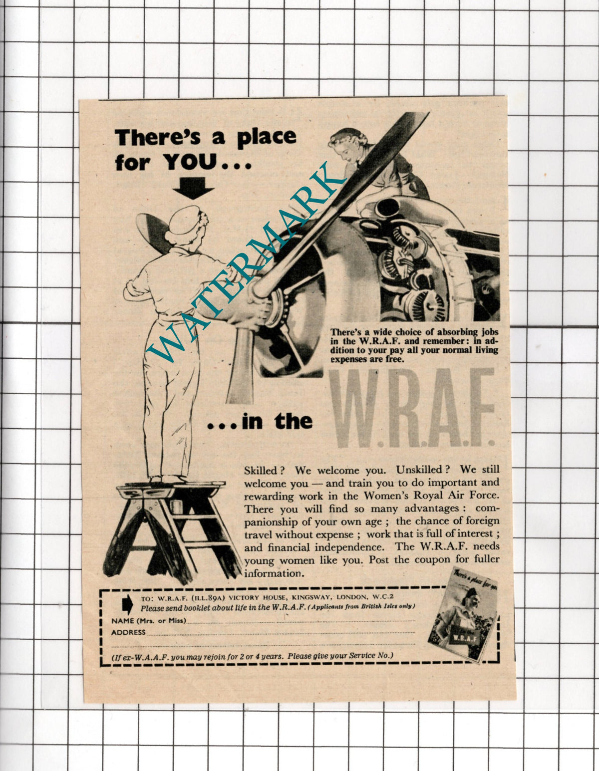 WRAF Women's Royal Air Force Small Advert - 1951 Cutting