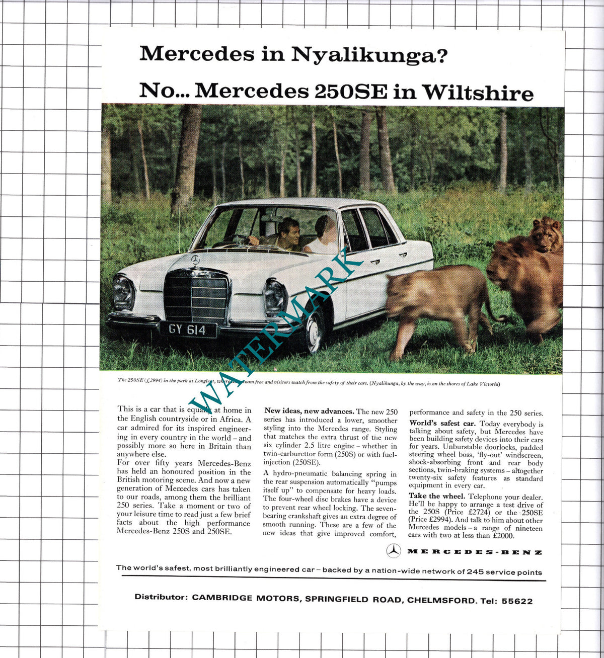 Mercedes 250SE Longleat Safari Park Car Advert - 1967 Clipping