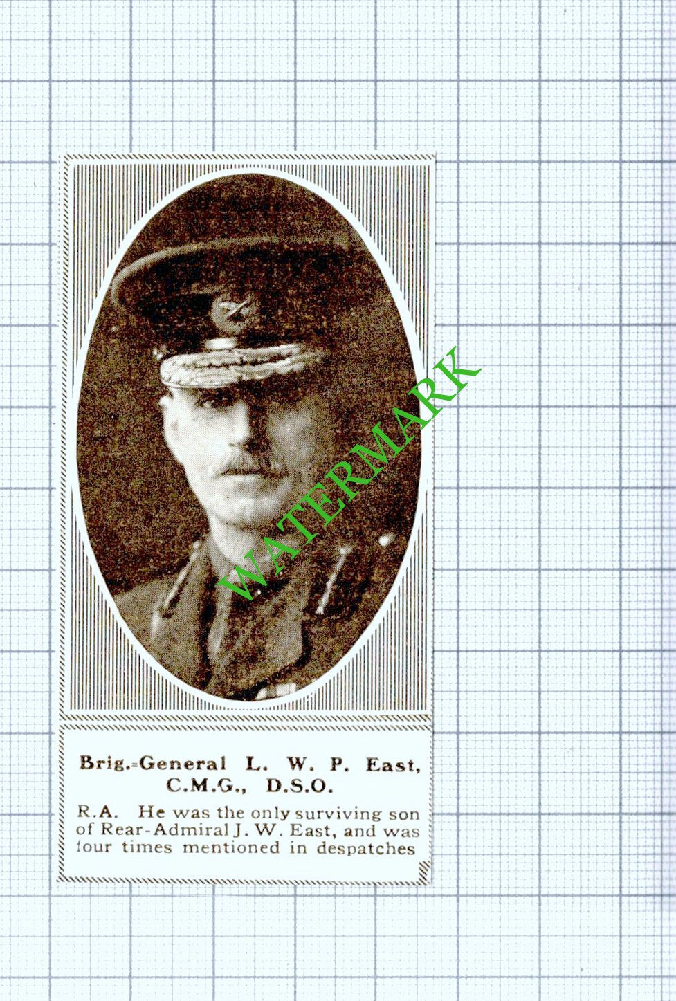 Brig Gen L W P East Royal Artillery RA Great War - 1918 SMALL Cutting