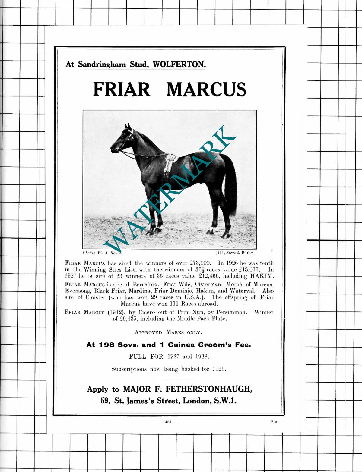 Fetherstonhaugh Friar Marcus Racehorse Sandringham Stud Wolferton - 1927 Advert