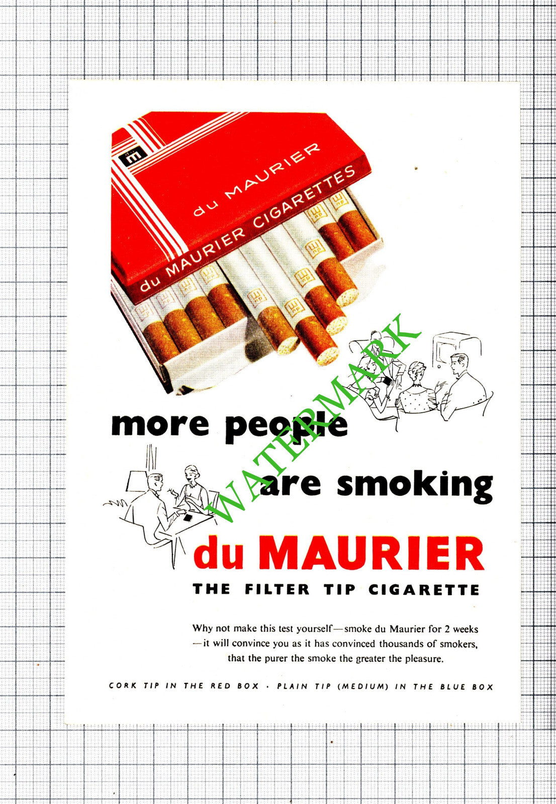 Du Maurier Cigarettes Small Advert - 1955 Cutting