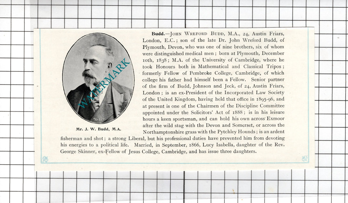 John Wreford Budd Plymouth Devon Budd Johnson and Jeck - c.1905 Clipping