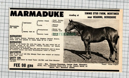 (C180) Marmaduke Horse Sale Mrs Trimmer Thompson Cayton Park Simms Stud  - 1972