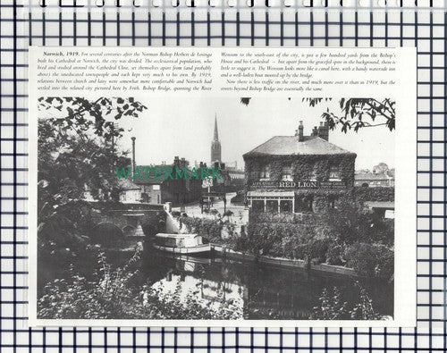 (6971) Norwich Red Lion Pub - 1980s Cutting