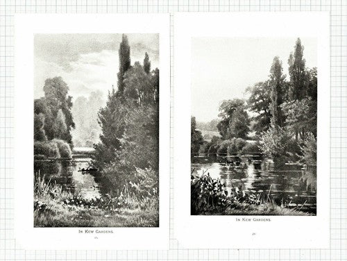 (5962) Kew Gardens WT Thistelton-Dyer  - 1897 Article
