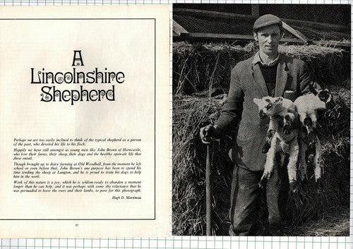 John Brown Shepherd Horncastle Langton Old Woodhall Lincolnshire - 1970 Article