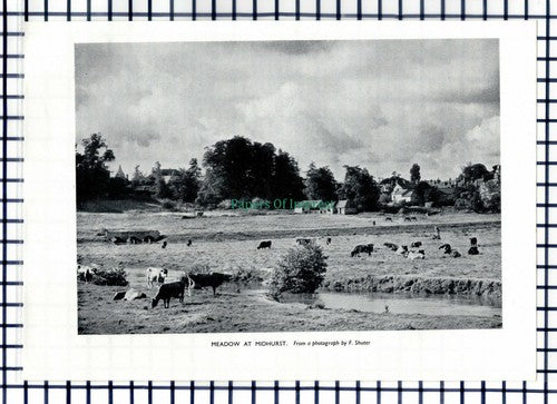 (6760) Midhurst Sussex  - 1955 Cutting
