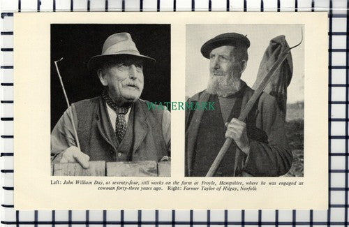 C6461) John William Day Froyle Hampshire Farmer Taylor Hilgay Norfolk - 1955