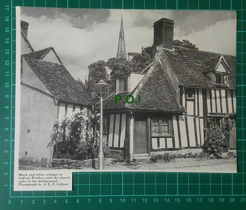 (31) Saffron Walden Essex Cottages   - 1966 Cutting