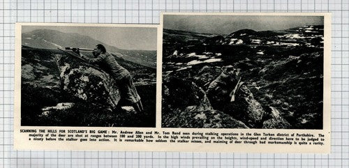 Mr Andrew Allen Tom Band Deer Hunting Glen Tarken Perthshire -  1951 Clipping
