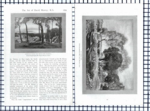 (6375) David Murray Artist Marion Hepworth Dixon - c.1905 Article