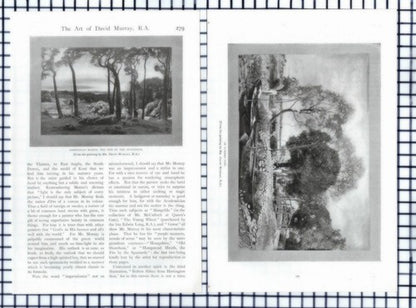 (6375) David Murray Artist Marion Hepworth Dixon - c.1905 Article
