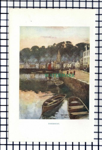C6460) Tobermory Scotland - c.1920s Small Print