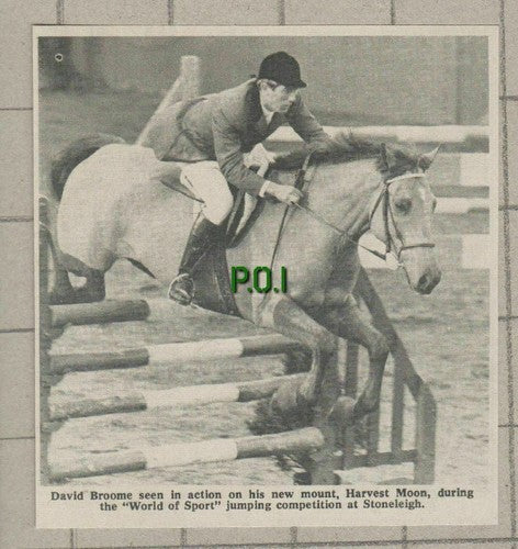 (5384) David Broome Harvest Moon Horse Jumping Stoneleigh - 1969 Clip
