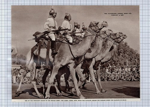 (5186) The Camel Corps Indian Army Rajpath Dehli India  - 1961 Clip