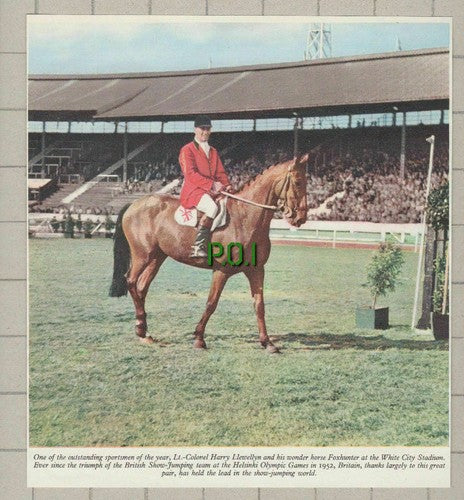 (5474) Lt Col Harry Llewellyn On Foxhunter Horse White City   - c.1953 Clip
