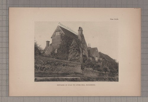 Lythe Hill Haslemere Surrey  - c.1908 Print