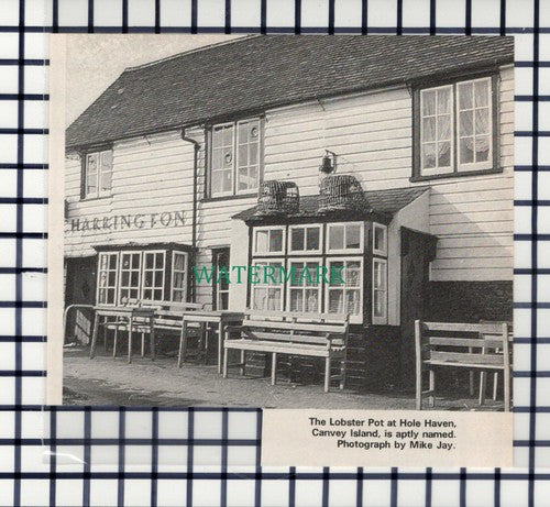 C7316) The Lobster Smack Hole Haven Canvey Island Essex  - 1971 Cutting