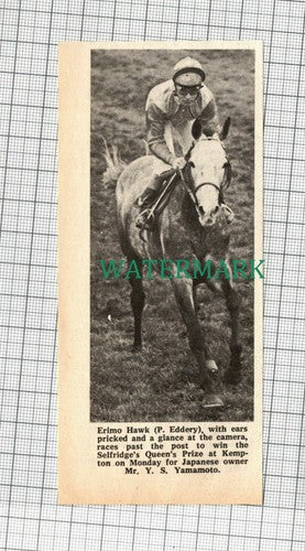 C1886) P Eddery On Horse Erimo Hawk Kempton Mr Y S Yamamoto Japan - 1972 Clip