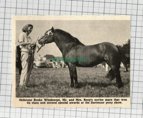 C2245) Shilstone Rocks Windswept Mr Reep Dartmoor Pony Show - 1968 Clip