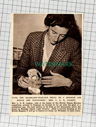 C2227) Mrs L S B Leakey British Kenya Miocene Expedition Ape Skull - 1948 Clip