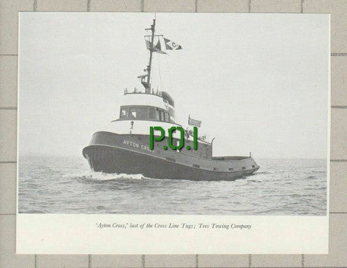 Ayton Cross  Cross Line Tug  Tees Towing Company - c.1960s Small Clipping
