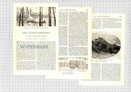 The Salmon Fisheries Columbia River Blumenschein  - 1903 Article