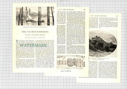The Salmon Fisheries Columbia River Blumenschein  - 1903 Article