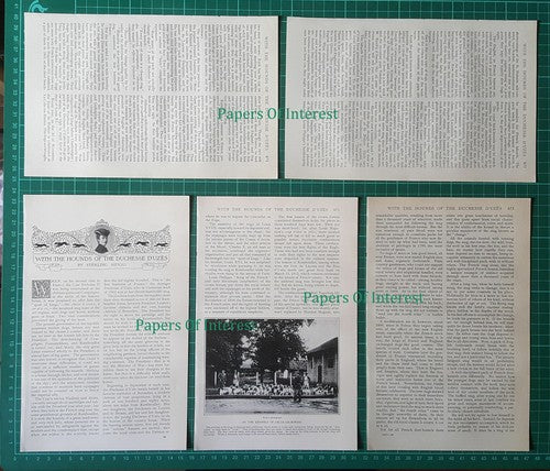 The Duchess D'Uzes Hunting Hounds Celle Les Bordes - 1903 Article