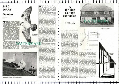 (8450) Jordans Cottages Ardingly Sussex Jill Browning  - 1966 Article