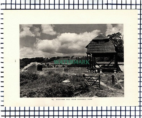 (7457) Hascombe Hill Painshill Farm Surrey - 1949 Print / Cutting