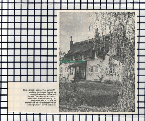 C6602) Harlow Common Essex Farmhouse  - c.1964 Cutting