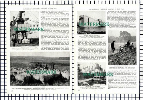 Wartime Food Rationing JR Clynes World War 2 WS Morrison - 1939 Article