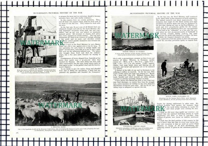 Wartime Food Rationing JR Clynes World War 2 WS Morrison - 1939 Article