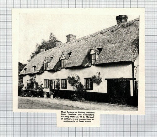 Moat Cottage Pleshey  Essex  - 1972 Cutting